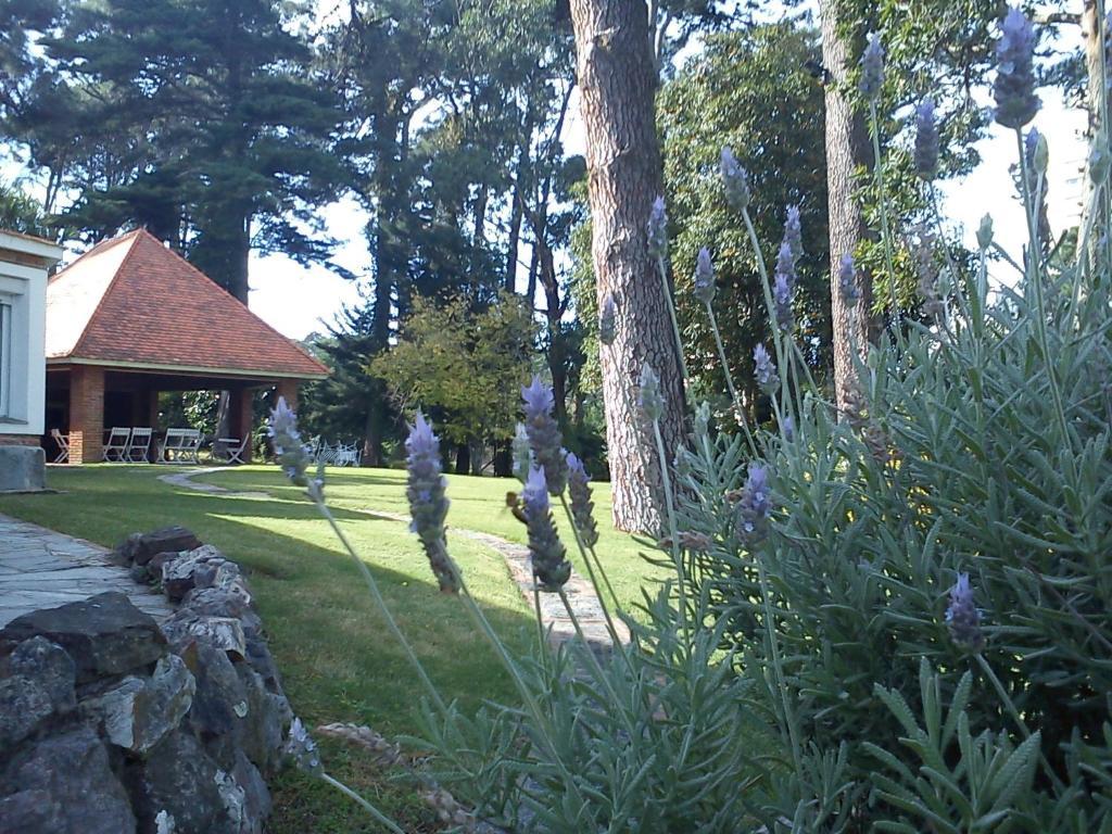 Josephine Boutique Hotel プンタ・デル・エステ エクステリア 写真